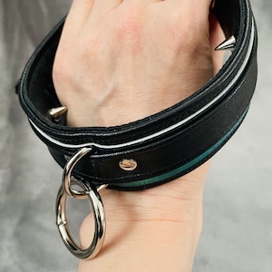 Può includere: Collare in pelle nera con punte argentate e un grande anello di metallo. Il collare ha una striscia bianca e un accento turchese. Il collare è tenuto in una mano.