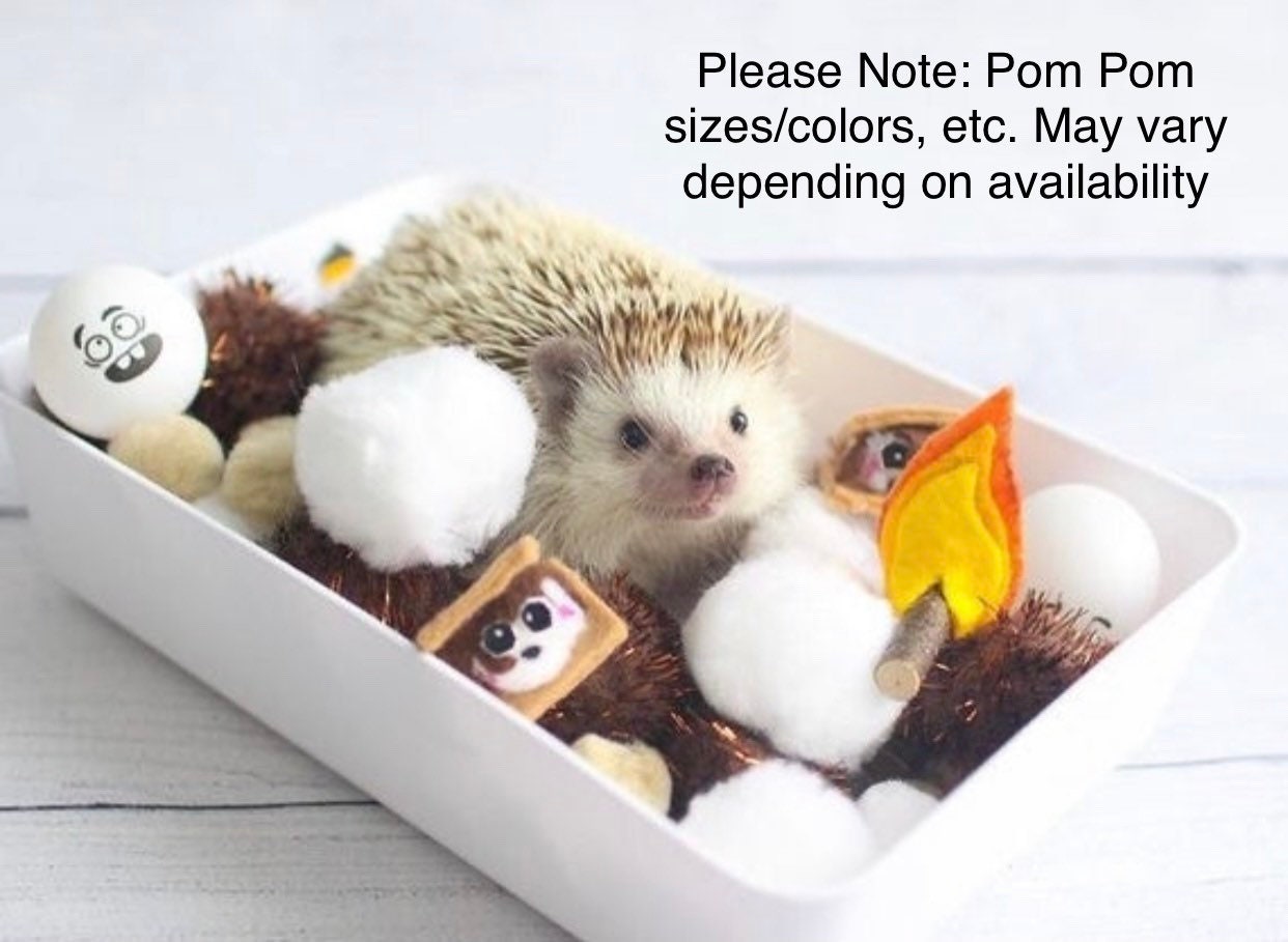 Small Dig Box Hedgehog Dig Box Small Animal Forage Box Etsy