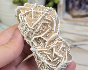 Desert Rose Selenite 3.14in