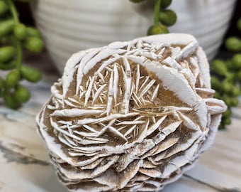 Desert Rose Selenite Stone 2.99in