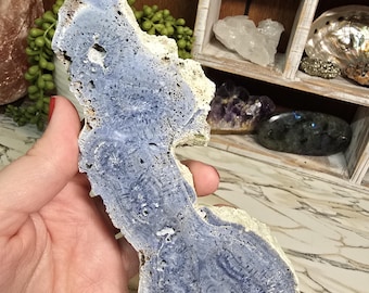Blue Coral Jasper Slab