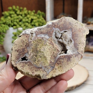 CLEARANCE Thunder Egg Geode, Geode half