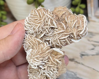 Desert Rose Selenite Cluster 3.27in
