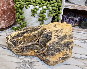 Raw Smokey Quartz Petrified Wood 3lbs 2.8oz
