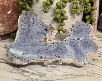 Blue Coral Jasper Slab