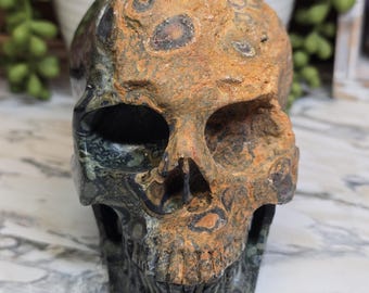 Kambaba Jasper Skull 5in 2lbs 6.5oz