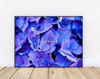 Blue Flowers, Floral Photo Print, Stock Photo, Flowers Background, Digital Download, Wall Decor, Printable Flower, Flowers Wallart