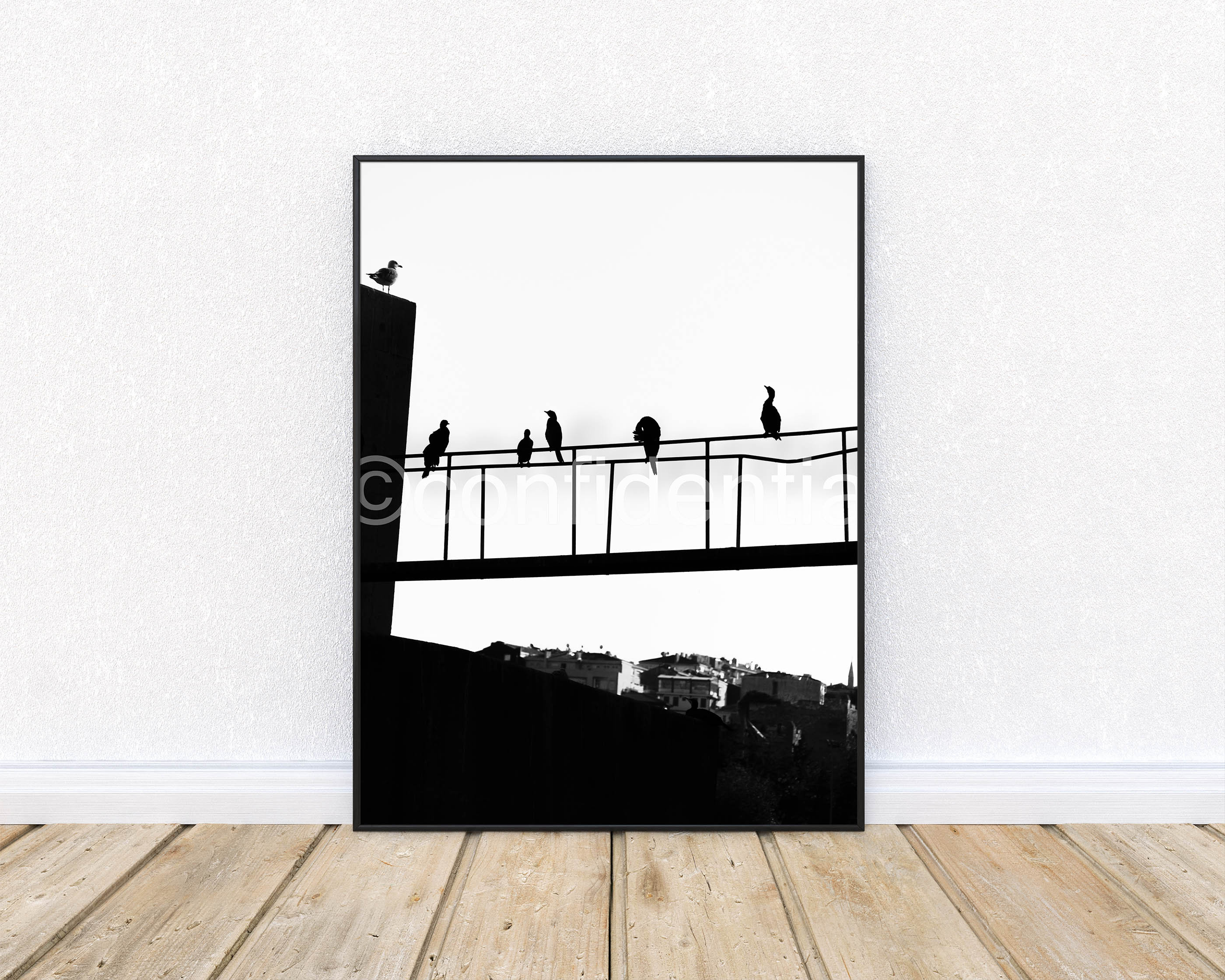 Seagulls, Black and White Photo, Birds Silhouette, Digital Download, Instant Download, Photo Overlay, Printable Card