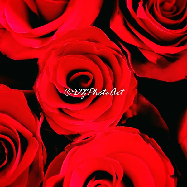 Red Roses - Etsy