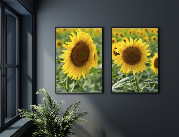 Sunflower Printable Photo Flower Decoration Sunflower Field | Etsy
