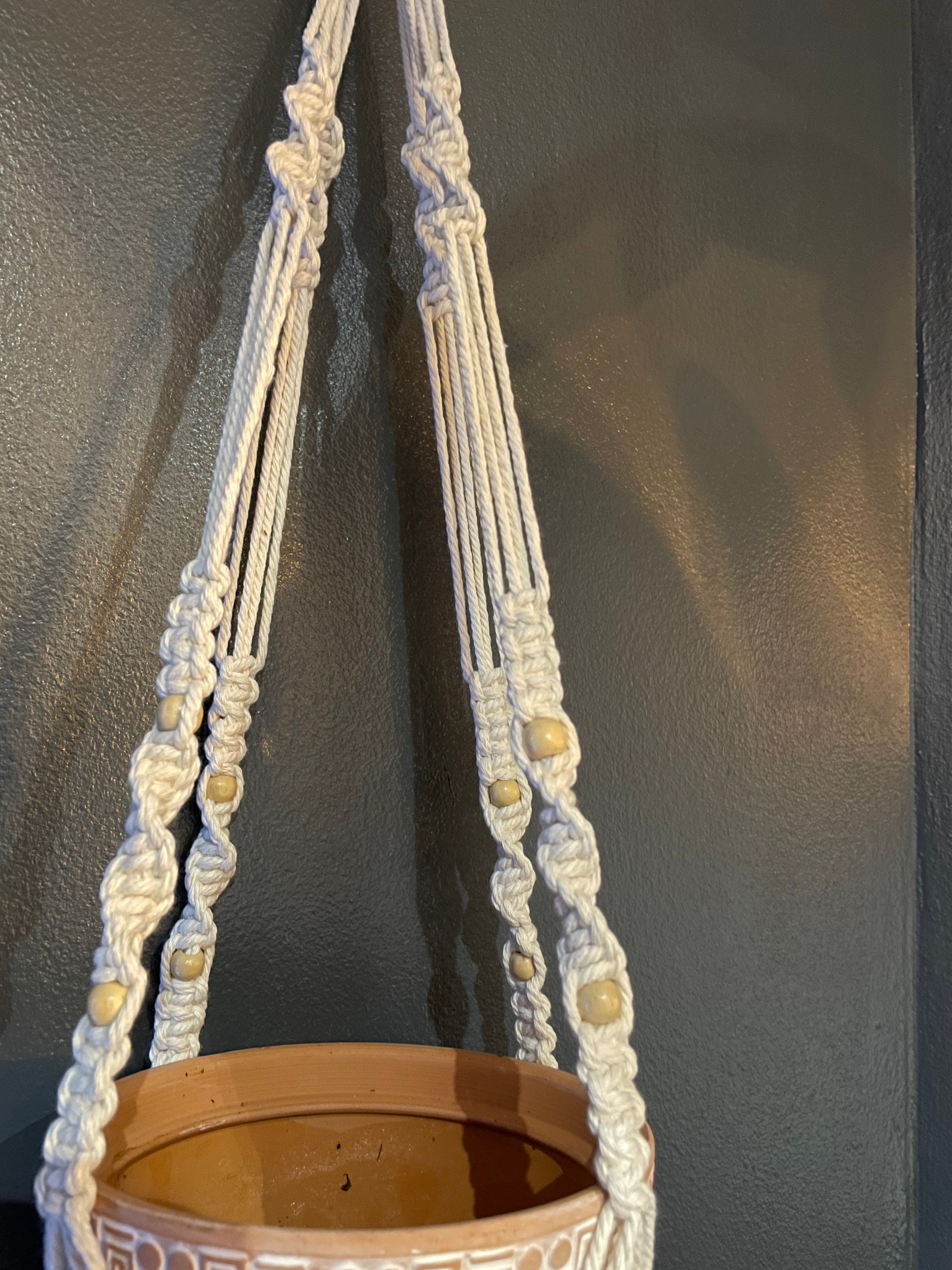 Suspension Pour Plantes #3