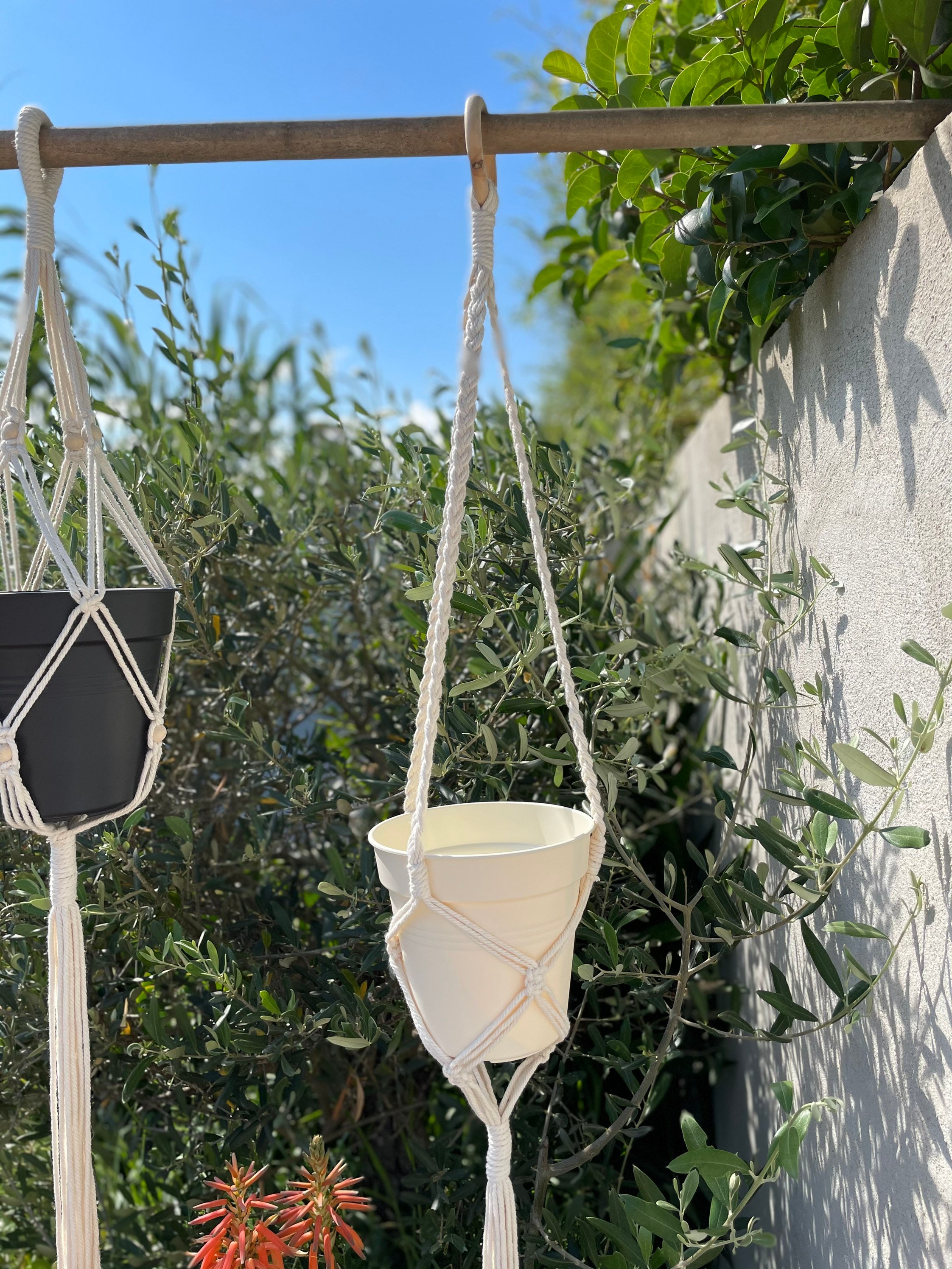 Suspension Pour Plantes #4