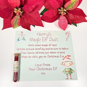 Poussière de lutin, carte personnalisée de lutin, autocollants de lutin, cadeau de lutin, accessoire de lutin d'étagère, boîte de réveillon de Noël, père Noël secret