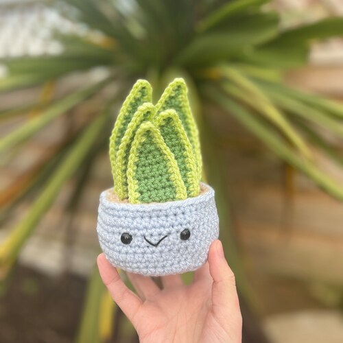 Crochet snake plant decoration | Home decoration | Gift for friend | Welcome Home gift