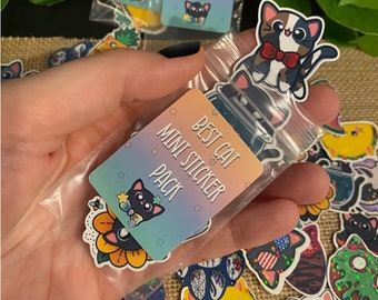 May include: A clear plastic bag filled with colorful cat-themed stickers. The bag has a label that reads "Best Cat Mini Sticker Pack".