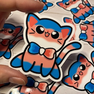 Transgender Pride - Gatti con papillon - Adesivo gatto - Decalcomania adesiva in vinile per laptop, bottiglie d'acqua, pianificatori e diari