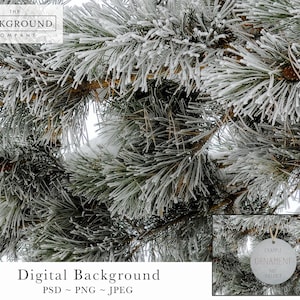 May include: Close-up of frosted pine branches with small pine cones. The image features a digital background with the text "Digital Background" and file type information. A small inset shows a round ornament.