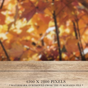May include: A horizontal wooden surface with a visible grain pattern, featuring a blurred background of autumn foliage in shades of orange, yellow, and brown. The text 4200 X 2800 PIXELS and WATERMARK IS REMOVED FROM THE PURCHASED FILE is visible.