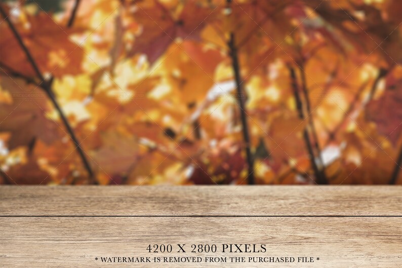 May include: A horizontal wooden surface with a visible grain pattern, featuring a blurred background of autumn foliage in shades of orange, yellow, and brown. The text 4200 X 2800 PIXELS and WATERMARK IS REMOVED FROM THE PURCHASED FILE is visible.