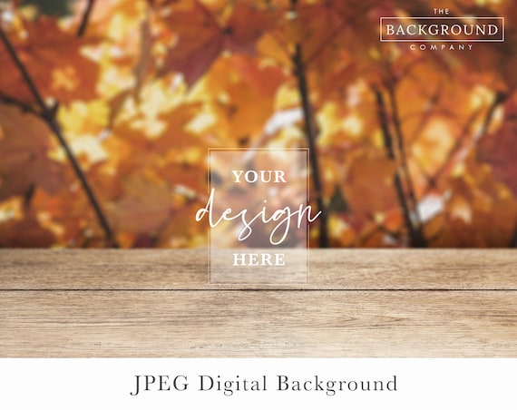 Fall Background Mockup | Fall Leaves Background Mock up | Fall Trees Mockup Background | Autumn Trees Background Mockup | Fall Stock Photo