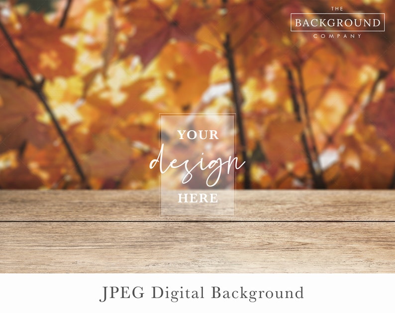 Fall Background Mockup | Fall Leaves Background Mock up | Fall Trees Mockup Background | Autumn Trees Background Mockup | Fall Stock Photo image 1