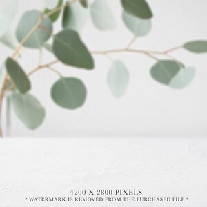 May include: A white textured surface with a blurred eucalyptus branch in the background. The image includes the text 4200 X 2800 PIXELS and WATERMARK IS REMOVED FROM THE PURCHASED FILE at the bottom center of the frame.