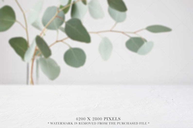 May include: A white textured surface with a blurred eucalyptus branch in the background. The image includes the text 4200 X 2800 PIXELS and WATERMARK IS REMOVED FROM THE PURCHASED FILE at the bottom center of the frame.