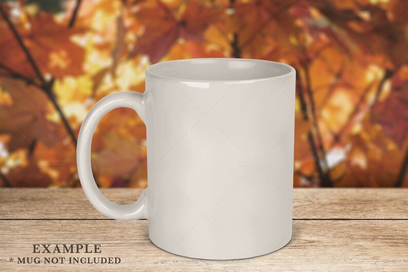 May include: A plain white ceramic mug with a smooth, glossy finish and a curved handle on the left side. The mug is positioned upright, featuring a cylindrical body and a wide opening at the top, presented as a blank vessel for customization.