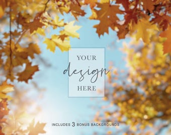 2 JPEG Fall Tree Backgrounds | Autumn Background for Wind Spinner Mockups (JPEG Digital Download)