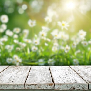 Puede incluir: Una superficie de mesa de madera blanca desgastada con vetas y textura visibles, compuesta por tablones horizontales unidos, situada frente a un campo desenfocado de margaritas blancas y hierba verde bajo luz solar brillante.