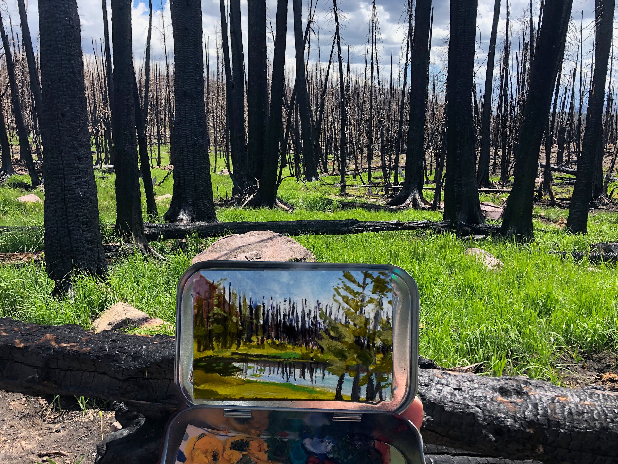 Uinta Wildfire Tiny Altoids Tin Original Oil Painting 