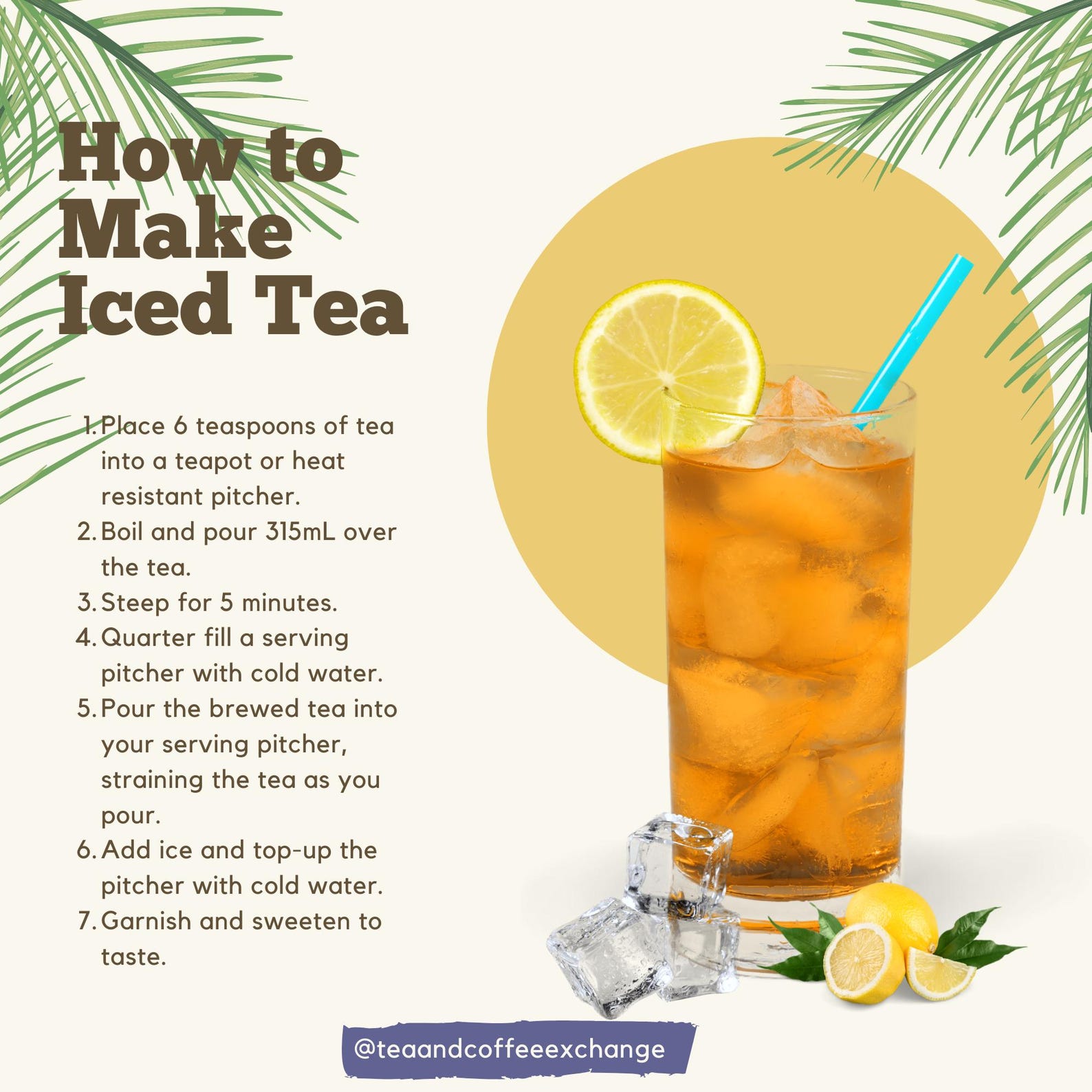 Premium Decaf Herbal Tea Variety Pack: Wellness Blends for Immunity ...