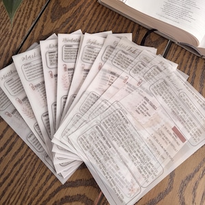May include: A collection of translucent, off-white paper study guides featuring printed text, headers for various biblical books like Matthew and Jeremiah, and sections for summaries, main figures, and reflection and prayer, arranged in a fan shape.