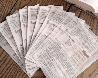 May include: A collection of translucent, off-white paper study guides featuring printed text, headers for various biblical books like Matthew and Jeremiah, and sections for summaries, main figures, and reflection and prayer, arranged in a fan shape.