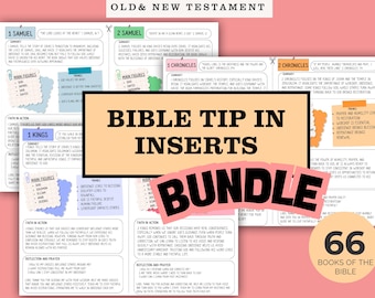 May include: A bundle of Bible Tip In Inserts with summaries, main figures, and themes for 66 books of the Bible. The inserts are in a variety of colors, including blue, green, and pink, with handwritten-style text.