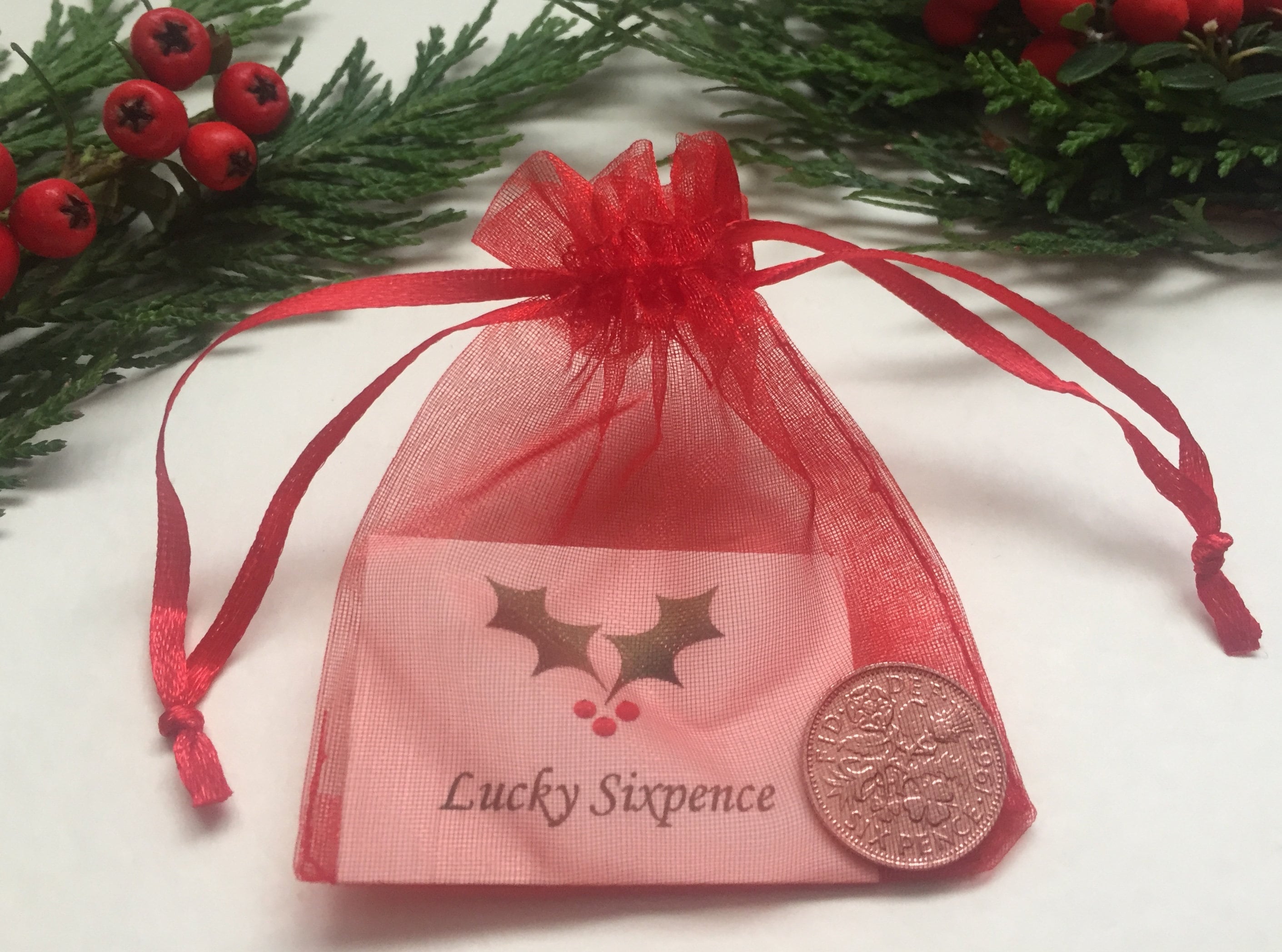 convertible car seat travel bolsa