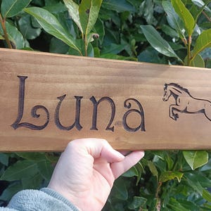 May include: A wooden sign with the name "Luna" carved into it. A horse is also carved into the sign, running to the right.