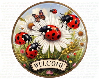 Welcome to our home sign, daisy wreath sign, welcome daisy sign, ladybird sign, ladybug welcome, ladybug sign, ladybird wreath