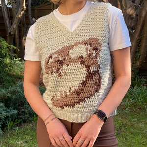 PDF: Tee rex shirt crochet pattern image 9