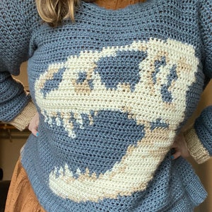 PDF: Tee rex shirt crochet pattern image 4
