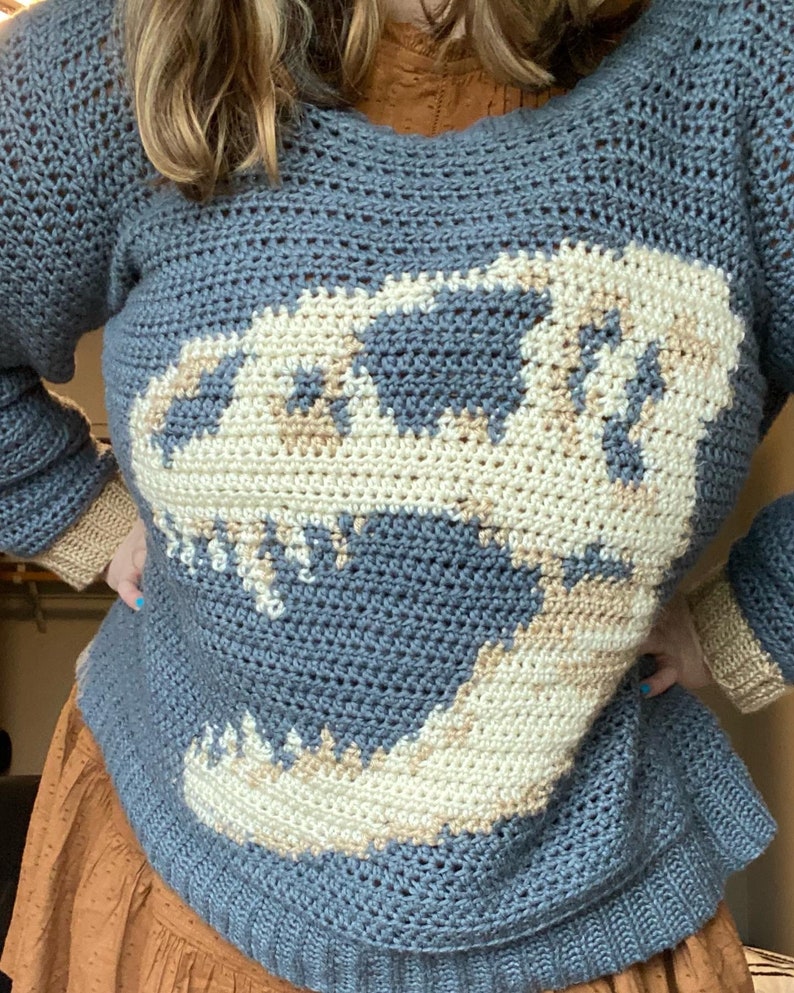 PDF: Tee rex shirt crochet pattern image 4