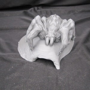 Tarantula Spider on Skull Cap 3d Creepy Display (Halloween) Life Size