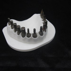 Screwdriver Bit Holder Novelty Bits for Teeth (Bits not Included)