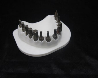 Screwdriver Bit Holder Novelty Bits for Teeth (Bits not Included)
