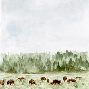 May include: A watercolor painting of a herd of brown bison grazing in a field. The bison are in the foreground, with a line of green trees in the background. The sky is a light blue with some white clouds.