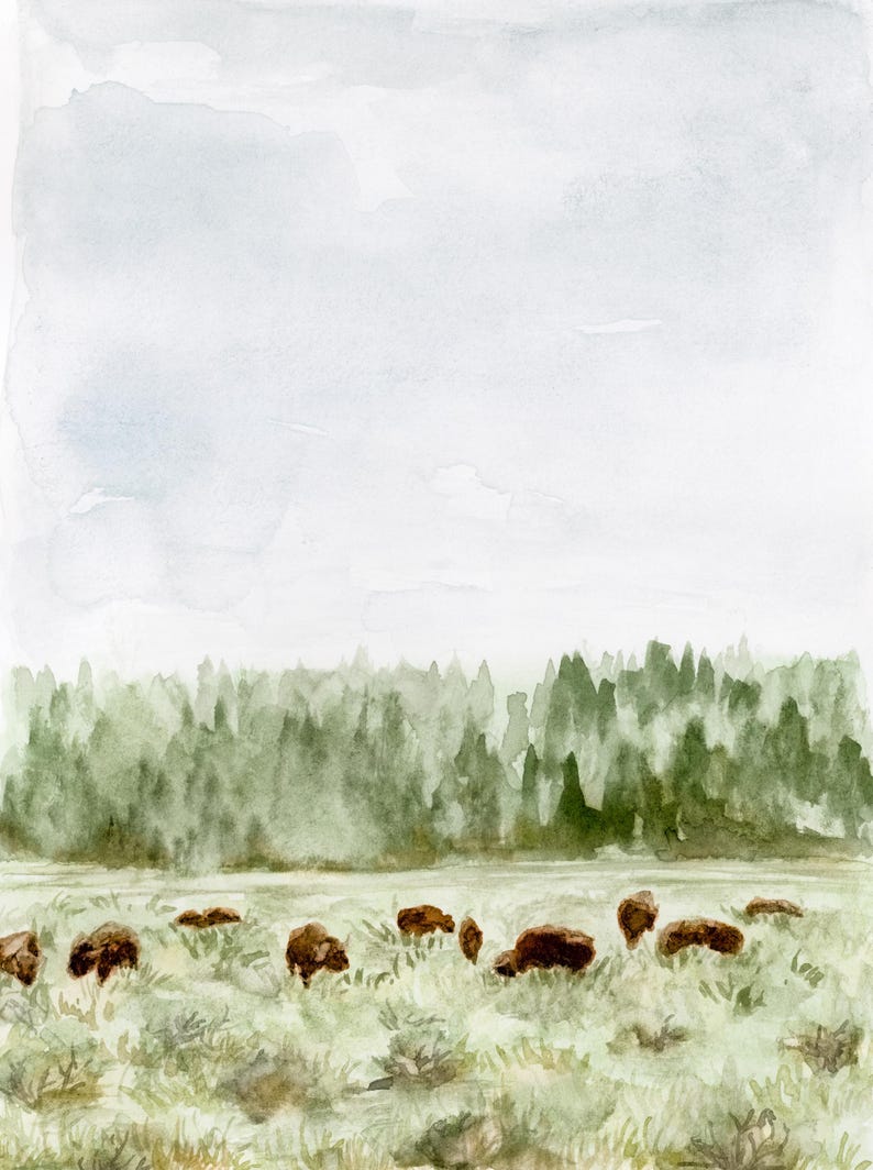 May include: A watercolor painting of a herd of brown bison grazing in a field. The bison are in the foreground, with a line of green trees in the background. The sky is a light blue with some white clouds.