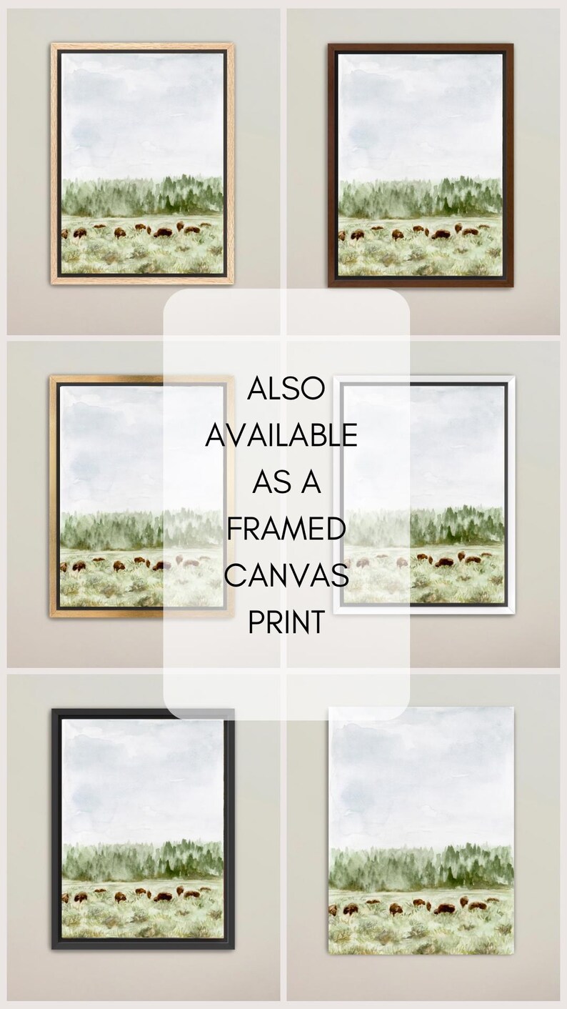 May include: A watercolor painting of a herd of bison grazing in a field with a forest in the background. The painting is framed in a variety of colors, including natural wood, brown, white, and black. The text "ALSO AVAILABLE AS A FRAMED CANVAS PRINT" is displayed below the painting.