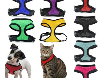 personalized cat harness