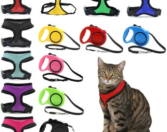 retractable cat lead