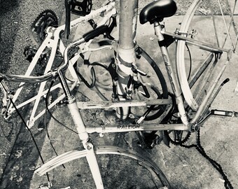 May include: Two white bicycles locked together with a chain and lock. The bicycles are leaning against a pole with the word "RALEIGH" printed on the frame. The bicycles are in black and white.